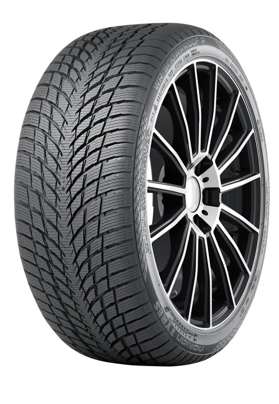 Шины Ikon Tyres WR Snowproof 2 255/40 R21 102V
