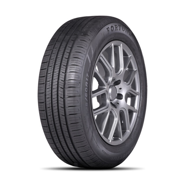 Шины Fortune FSR602 215/60 R17 100H