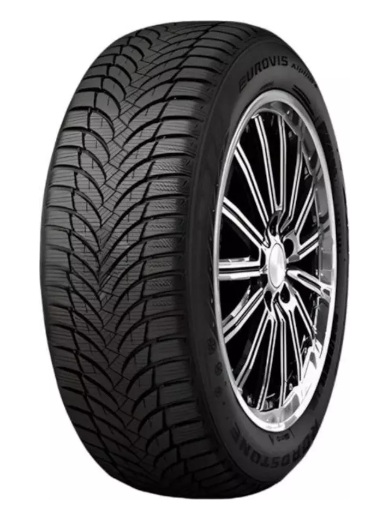 Шины Roadstone Eurovis Alpine 2 195/55 R15 89H